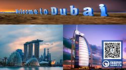 中国到阿联酋迪拜海运双清注意事项