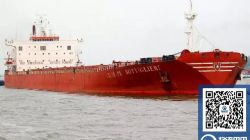 意大利一家百年船东申请破产保护！