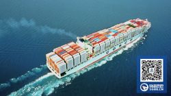 受新联盟影响 鹿特丹码头接驳服务延误！