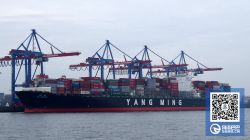 市场回暖：阳明海运增发5亿股，面额价值50亿元新台币