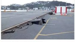 去年遭受地震的惠灵顿港，预计9月开始恢复营运！