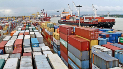 阳明海运新增韩国-中国-东南亚快线KCX服务