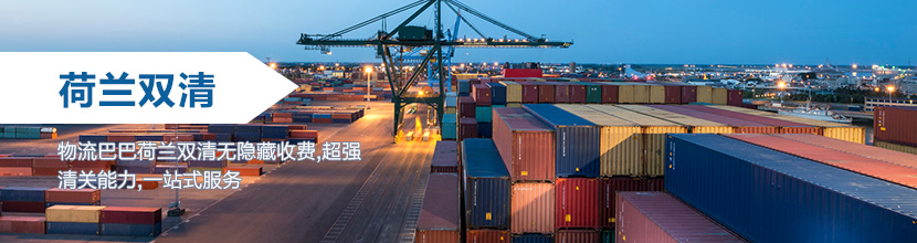 荷兰双清关,荷兰海运到门,海运到荷兰DDU/DDP服务